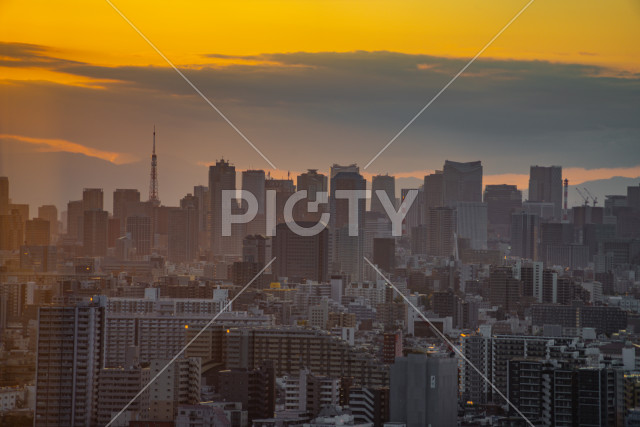 写真のタイトルが入ります
