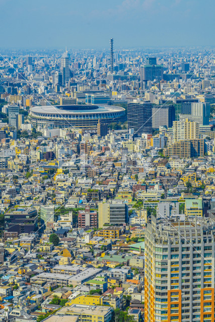 写真のタイトルが入ります