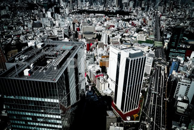 写真のタイトルが入ります