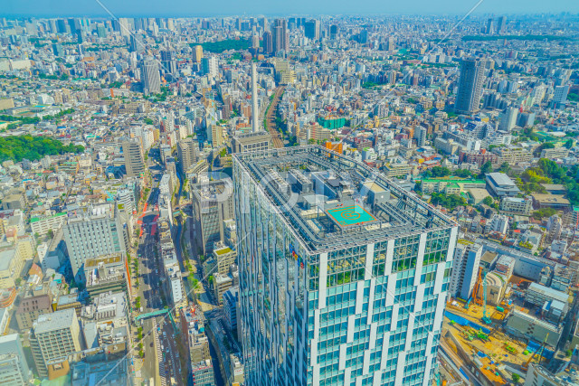 写真のタイトルが入ります