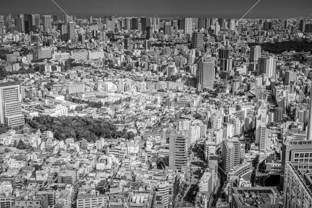 写真のタイトルが入ります