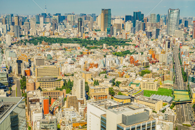 写真のタイトルが入ります