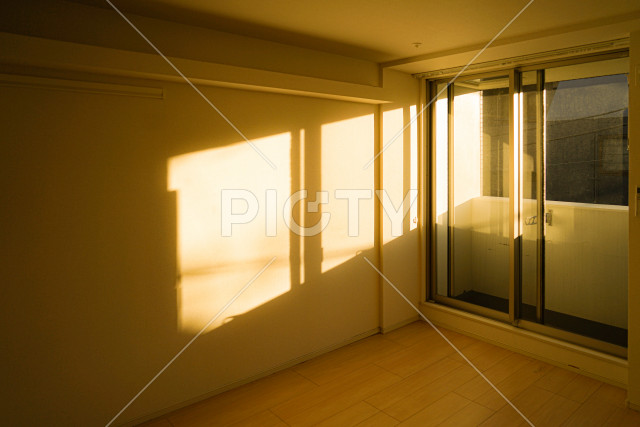 写真のタイトルが入ります