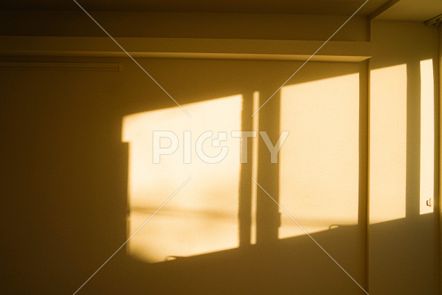 写真のタイトルが入ります