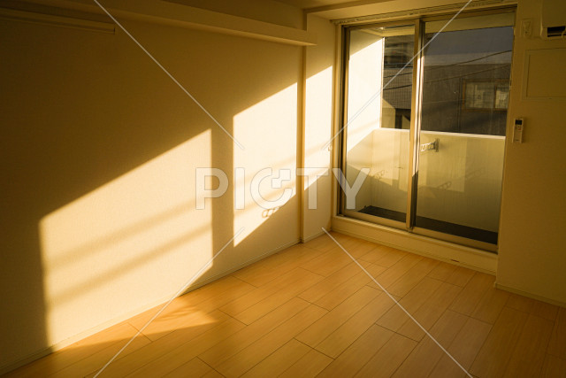 写真のタイトルが入ります