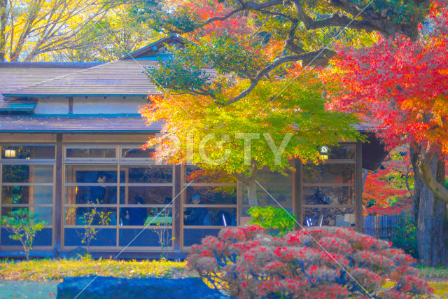 写真のタイトルが入ります