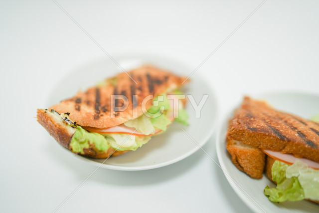 写真のタイトルが入ります