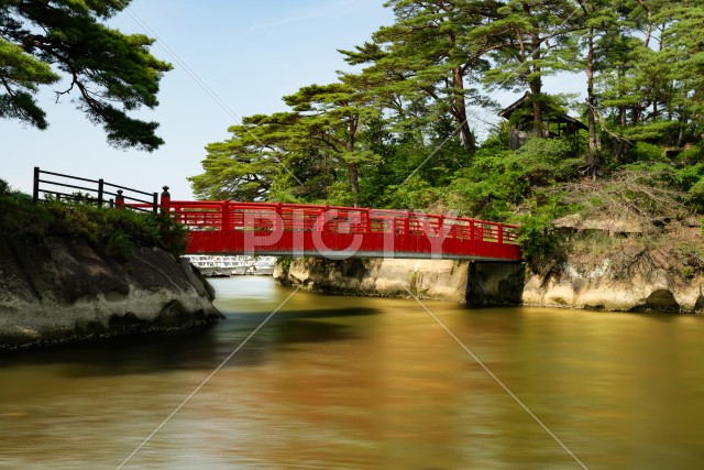 写真のタイトルが入ります