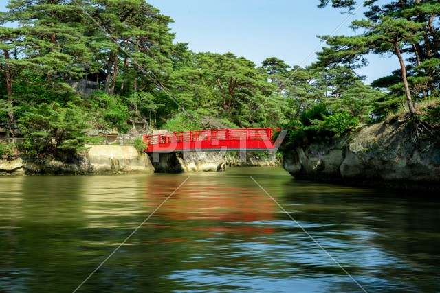 写真のタイトルが入ります