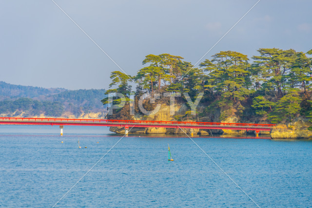 写真のタイトルが入ります