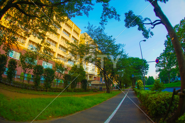 写真のタイトルが入ります