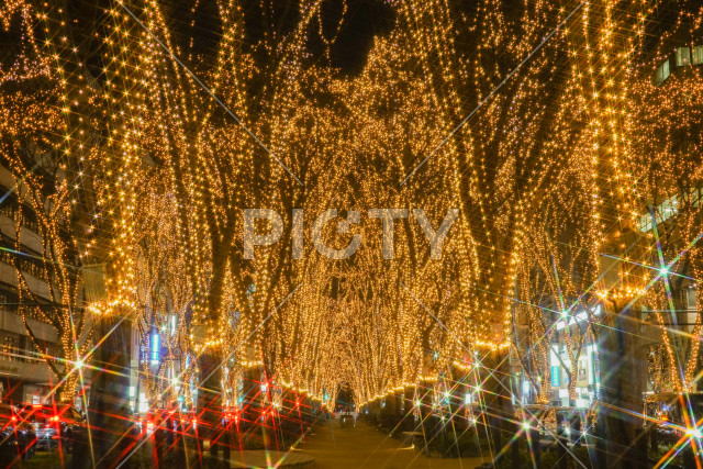 写真のタイトルが入ります