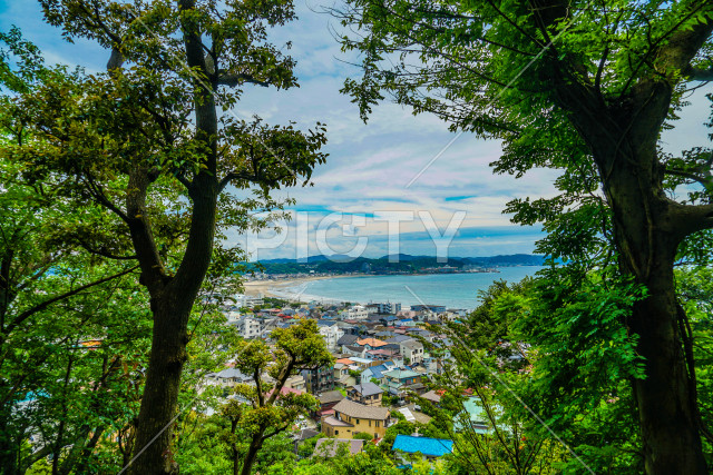 写真のタイトルが入ります