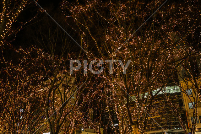 写真のタイトルが入ります