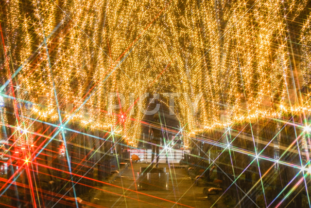 写真のタイトルが入ります