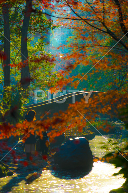 写真のタイトルが入ります