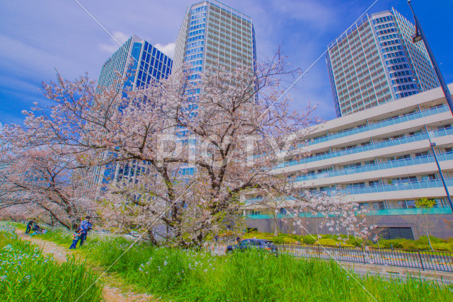 写真のタイトルが入ります