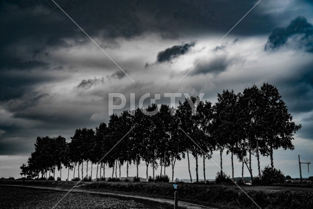 写真のタイトルが入ります