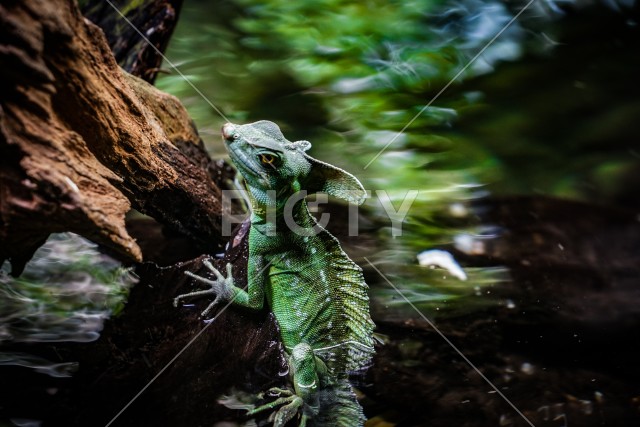 写真のタイトルが入ります