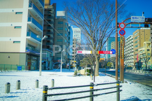 写真のタイトルが入ります