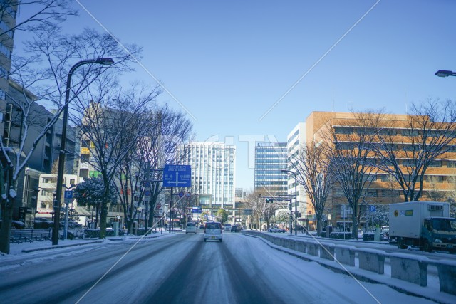 写真のタイトルが入ります