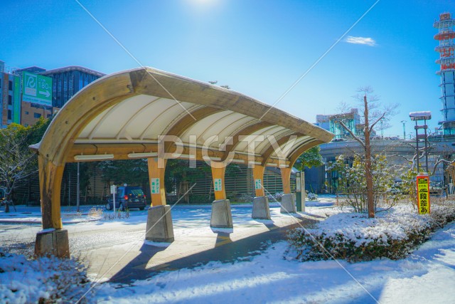 写真のタイトルが入ります