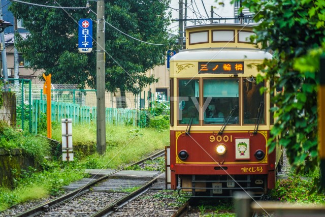 写真のタイトルが入ります