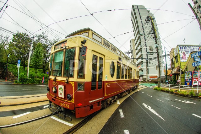写真のタイトルが入ります