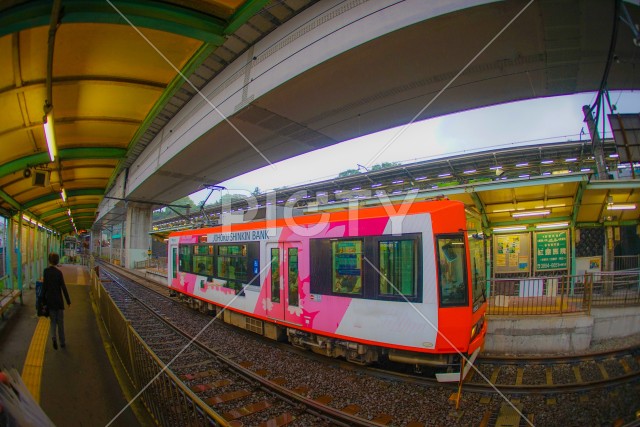 写真のタイトルが入ります