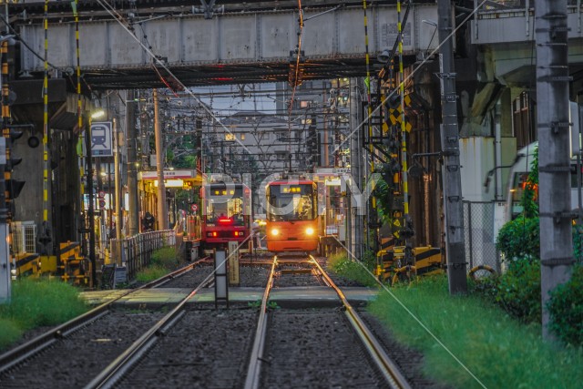 写真のタイトルが入ります