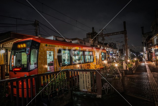 写真のタイトルが入ります