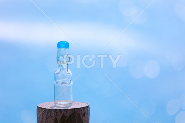 写真のタイトルが入ります