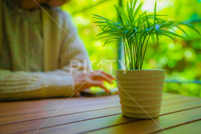 写真のタイトルが入ります