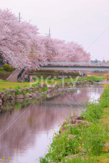 写真のタイトルが入ります