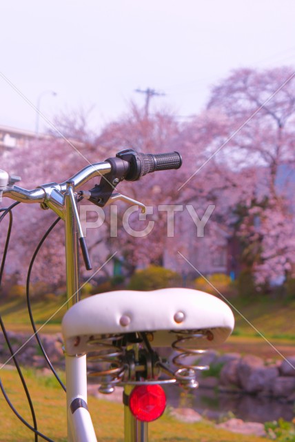 写真のタイトルが入ります