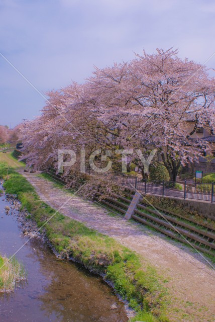 写真のタイトルが入ります