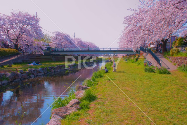 写真のタイトルが入ります