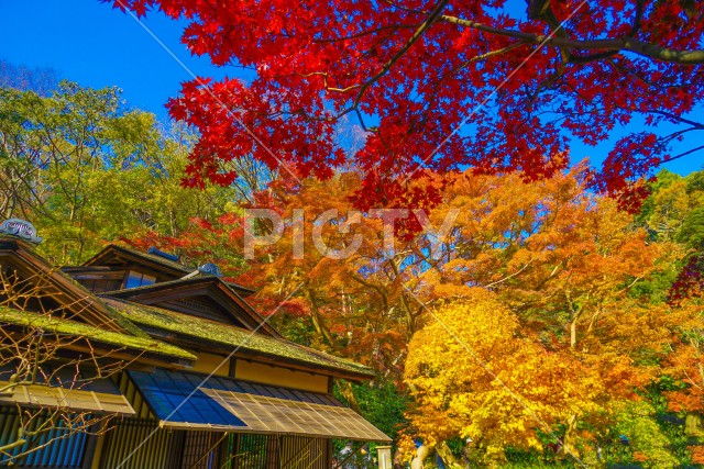 写真のタイトルが入ります