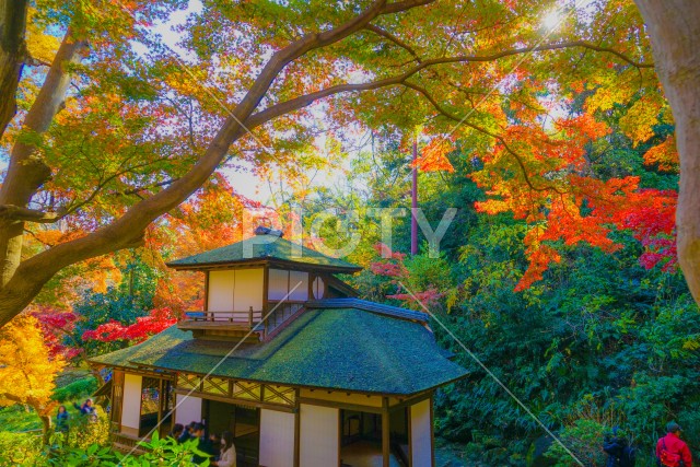写真のタイトルが入ります