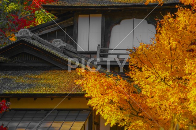 写真のタイトルが入ります