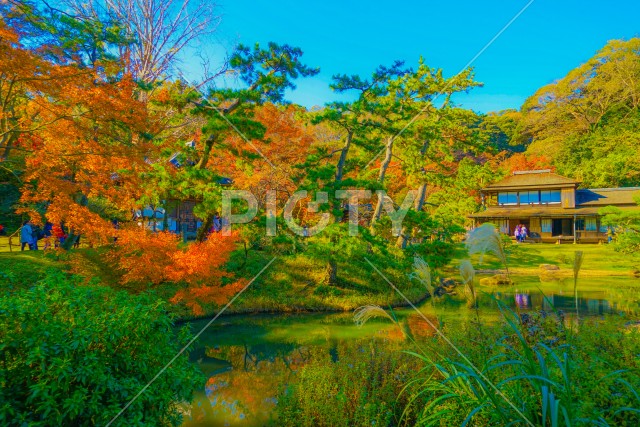 写真のタイトルが入ります
