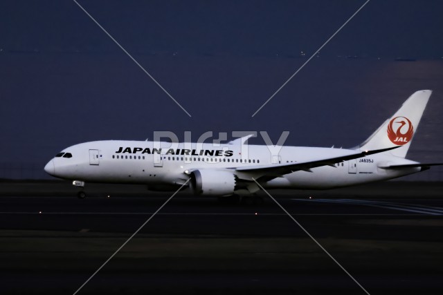 写真のタイトルが入ります