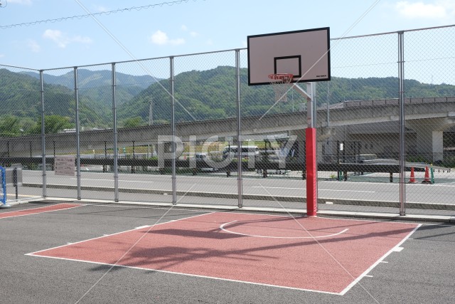 写真のタイトルが入ります
