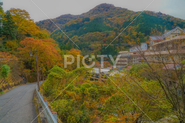 写真のタイトルが入ります