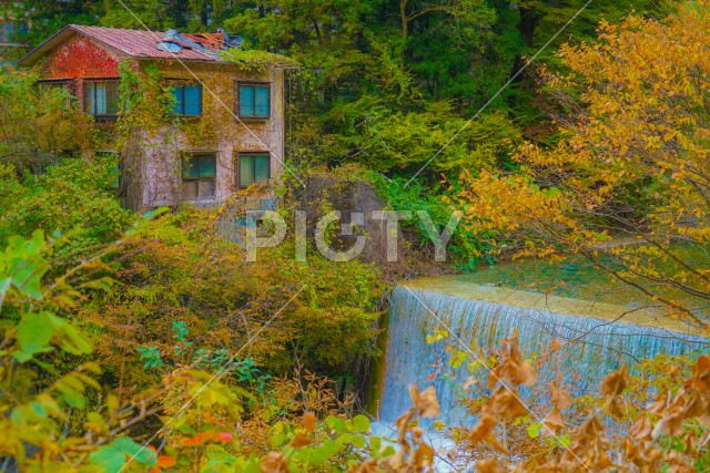 写真のタイトルが入ります
