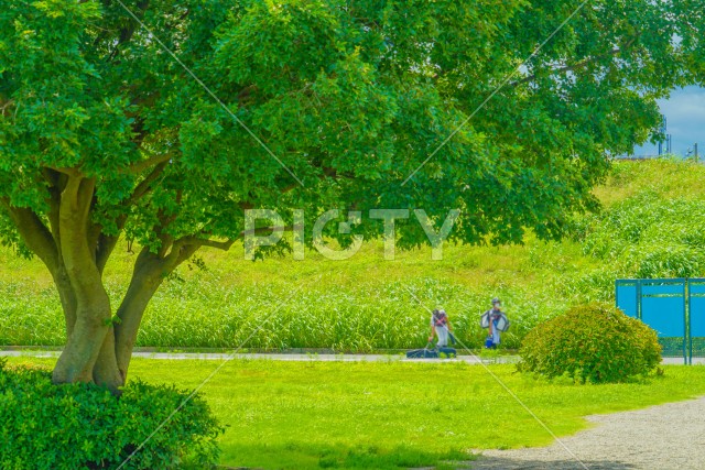 写真のタイトルが入ります