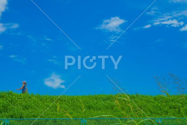 写真のタイトルが入ります