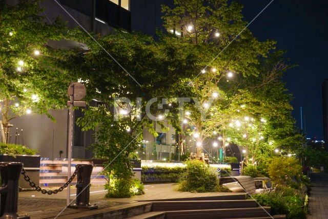 写真のタイトルが入ります