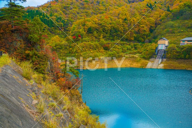 写真のタイトルが入ります