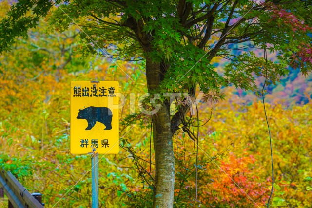 写真のタイトルが入ります